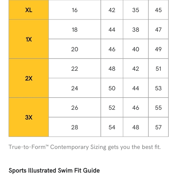 Sexy Lacy Plung 1 Piece in Deco Rose Top Blouse - Picture 4 of 5